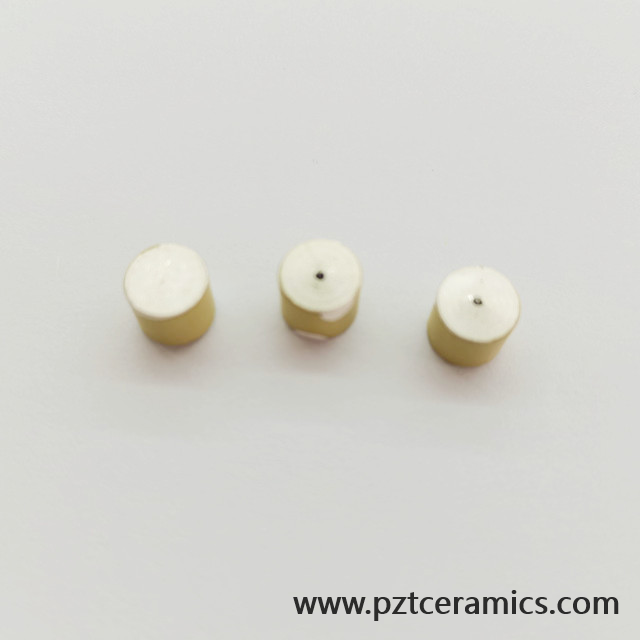 Sensor de cerâmica piezoelétrica Piezo Transdutor China Fabricante Produtos Personalizados